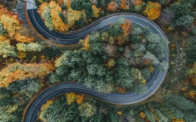 découvrez comment la transition durable transforme notre société en intégrant des pratiques écologiques et responsables. explorez les enjeux, stratégies et solutions pour un avenir respectueux de l'environnement et des générations futures.
